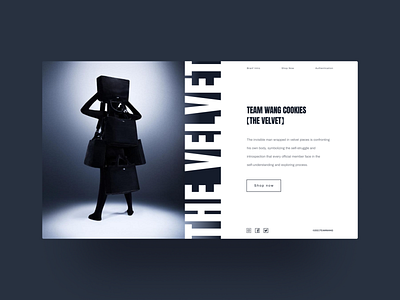 Main page concept for Team Wang design fashion website website design