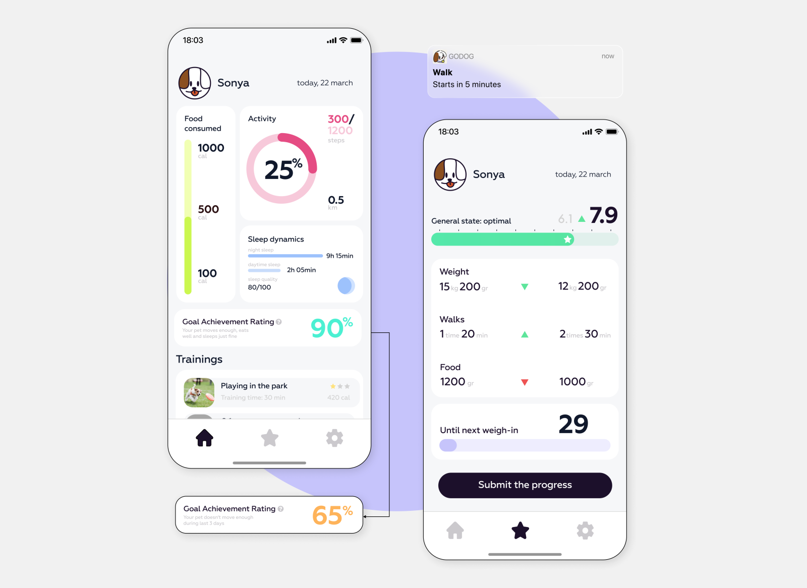 Fitness Collar App – UX/UI by Lisa Furina on Dribbble