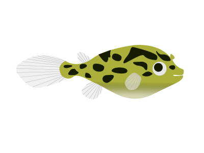 pufferfish animal cheesepuff fins fish green spotted pufferfish swimming water