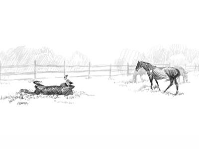 Illustration for Horse club