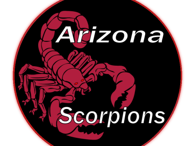 Arizona Scorpion's logo branding design logo