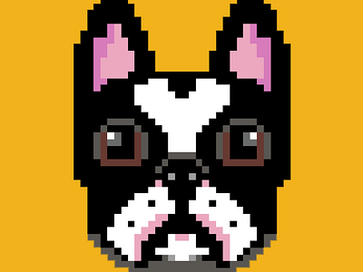 Pixel Boston Terrier design graphic design icon pixelart