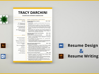 Professional Resume