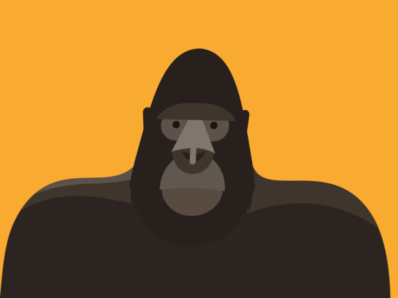 Gorilla after effects animation annoyed fly gorilla