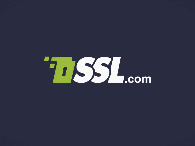 SSL logo 2d after effects animation ssl