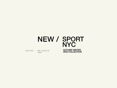 Landing NYC SPORT brand design branding design graphicdesign illustration layout logo typography ui vector