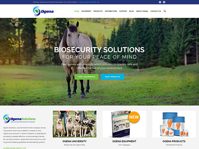 Ogena Solutions Redesign website design