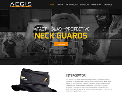 Aegis Impact Website Design flat minimal ui ux website design