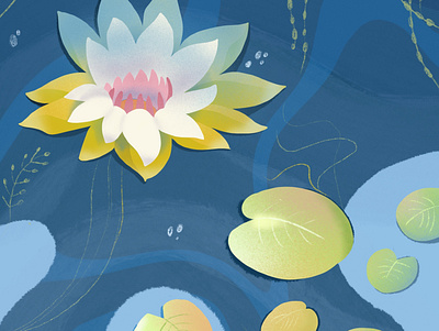 Water lily characterdesign digitalart graphic design illustration procreate water waterlily