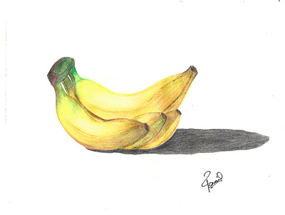 Colour pencil Art banana colour pencil draw