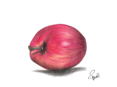 colour pencil apple colour pencil draw