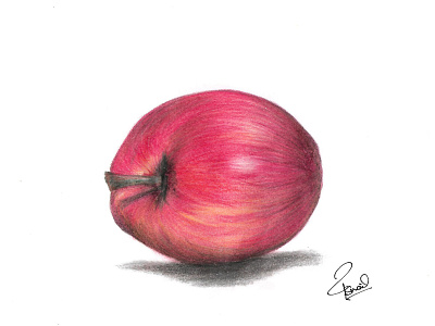 colour pencil