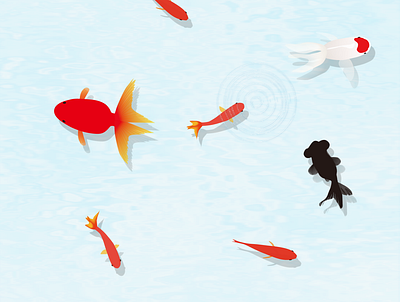 Gold fishes design fish goldfish illustration japan kingyo vector