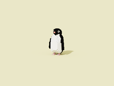 Adelie penguin