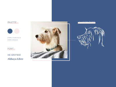 Educatore cinofilo brand identity business card dog dog sitting dog walking graphic design illustration