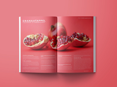 Spread design exploration for a magazine