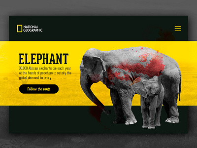 The Route of Elephants. africa elephant interface ivory landing natgeo ui ux