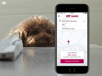 🐶🐱📱KwikVet app animal app cat design dog interface ios iphone map on demand startup ux veterinary