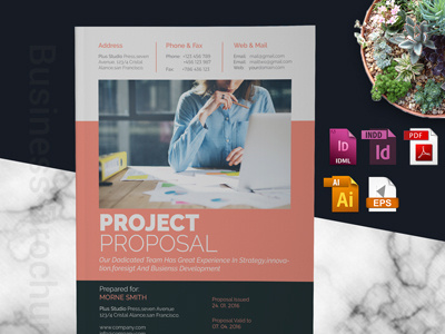 Project Proposal a4 agency proposal brand branding proposal brochure design business business proposal corporate proposal identity indesign template minimal school brochure