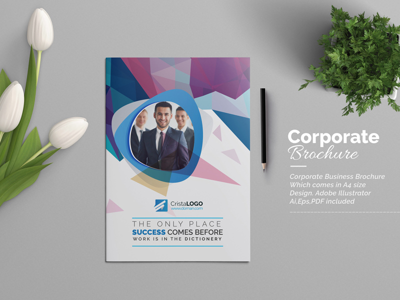 Bi-Fold Brochure educational brochure corporate brochure clean brochure business brochure brochure template brochure design brochure bi-fold brochure bi fold agency brochure abstract brochure a4 paper