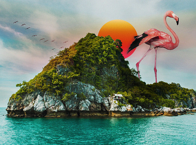 Flamingo on the island flamingo graphic design island photo manipulation photoshop sky water