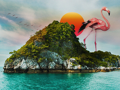 Flamingo on the island