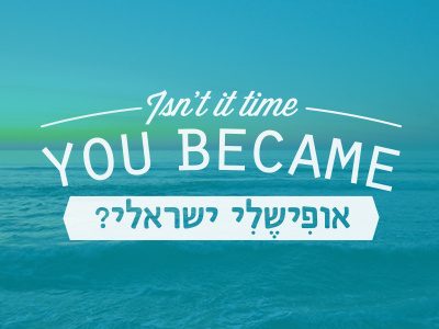 Officially Israeli Campaign branding posters typography