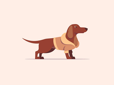 Serious dachshund 2d illustration character design dachshund dog