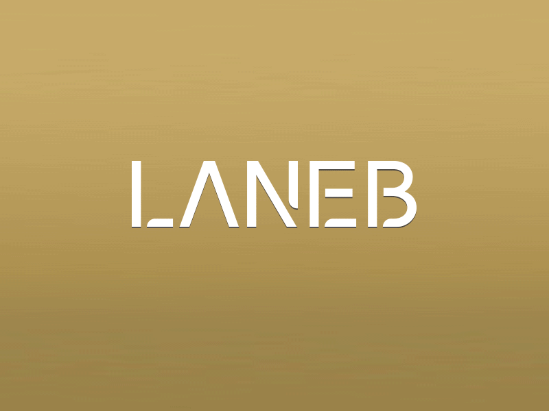 LANEB París: Cosmétique Professionnel aesthetic beauty branding clean cosmetics design elegant gold graphic design paris product design