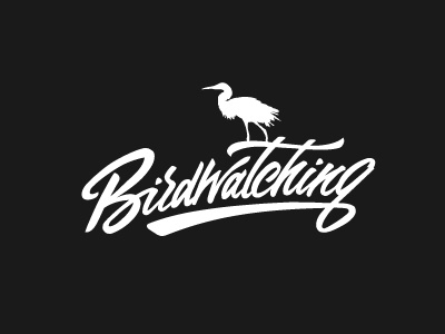 Birdwatching calligraphy handwriting lettering t shirt typography