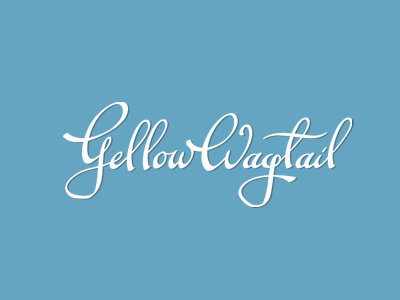Yellow Wagtail calligraphy lettering letters script