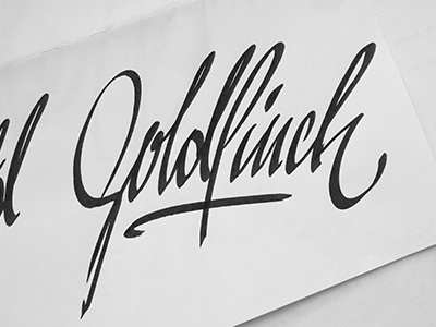 Goldfinch calligraphy lettering letters script
