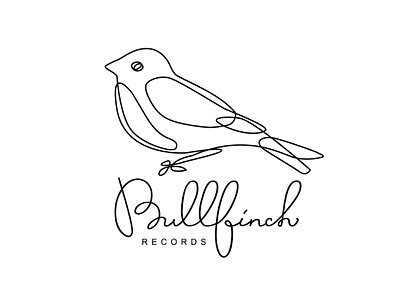 Bullfinch bird bullfinch calligraphy lettering line style logo typography