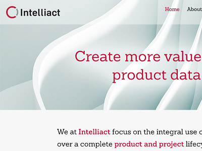 Intelliact Homepage intelliact rachilli web design