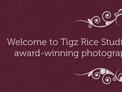 Tigz Rice Studios Website - Headline