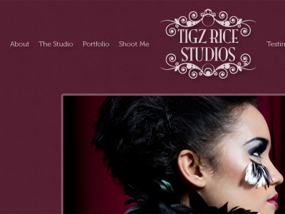 Tigz Rice Studios Website - Homepage patterns portfolio texture tigz rice tigzy websites