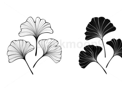 Monochrome Leaves of Ginko Biloba branding design ginko biloba graphic illustration leaves leaves logo logo