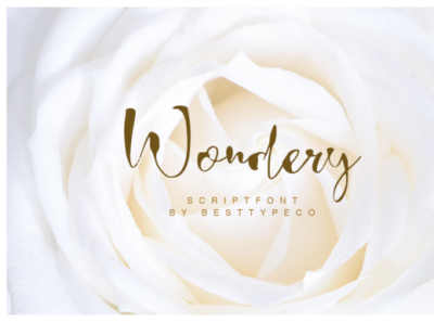 Wondery - Free Handcrafted Script Font free font free fonts free for commercial use freebie handcrafted letters realistic script font script fonts scriptfont