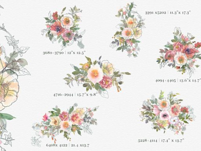 Free Watercolor Loose Flowers Clipart For Commercial Use backdrop background blossom botanical branch commercial use decoration design floral free free illustration freebies illustration leaves pattern romantic rose spring wall art watercolor