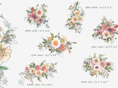 Free Watercolor Loose Flowers Clipart For Commercial Use