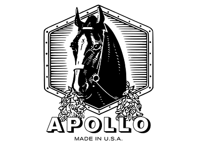 Apollo Sports Co.