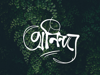 Aninday design logo minimal typography