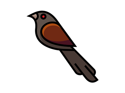 ICONS- Greater Coucal art bird dribbble icon illustration minimal nature sketch vector