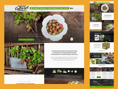Cultiv'art food graphics health healthcare website