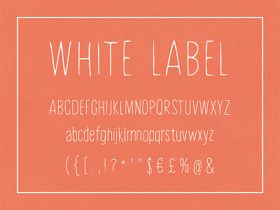White Label, hand-painted font brush drawn font hand human ink light modern organic painted skinny thin