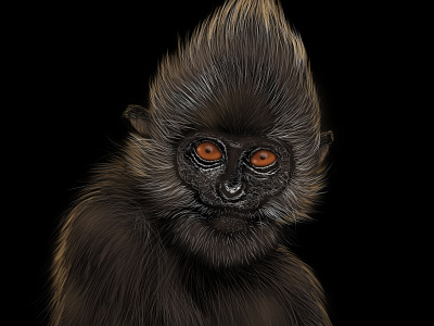 The Primate animal art art direction artist artistic direction artists artwork graphic graphicdesign photoshop art