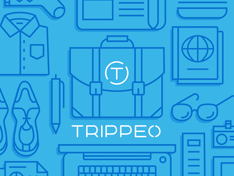 Trippeo App Illustration app business icons illustration process travel