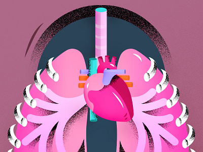 Heart & Lungs anatomy heart illustration lungs wip