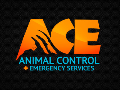 ACE logo branding logo
