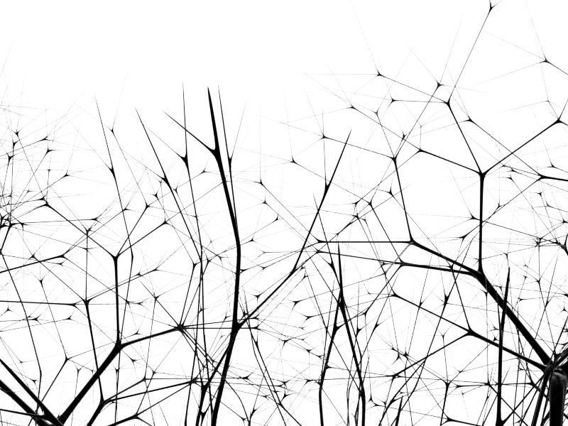 Everyday Practice No. 144 bw neuron tree render 3d practice